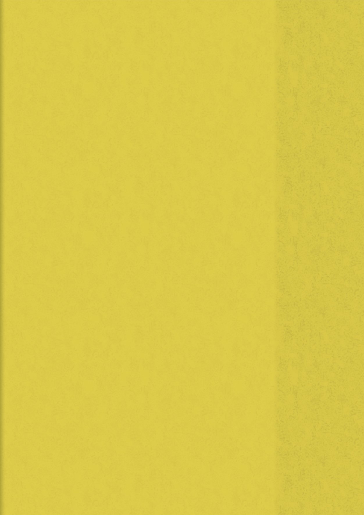 Baier Schneider Heftumschlag &Book Holder A5 15.5 x 8.7 CM, Yellow