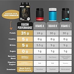 BIRDMAN Falcon Performance Vegan Protein