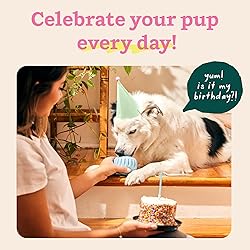 WOOF Party Pupsicle - Long-Lasting Interactive Dog