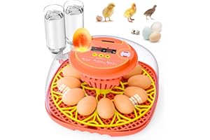 BRNVL 12 Egg Incubator for Hatching Eggs, Smart Temperature and Humidity Control, Automatic Egg Turning, Incubator for Hatching Chicken, Quail, Duck Eggs, 360° Clear View for Home, Classroom, Farm