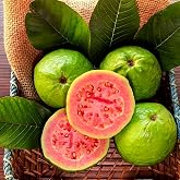 NiRwa 50pcs Tropical Strawberry Guava Organic Pink Guava Seeds - Exotic Flavor Medley and Privacy in Your Garden