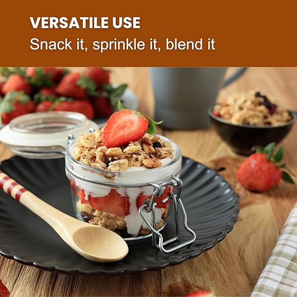 ERIN BAKER’S HOMESTYLE DOUBLE CHOCOLATE GRANOLA WITH ANCIENT GRAINS – MADE FROM NATURAL INGREDIENTS, CRUNCHY, VERSATILE SNACK OR CEREAL – VEGAN FRIENDLY, NON-GMO, RESEALABLE 12OZ BAG