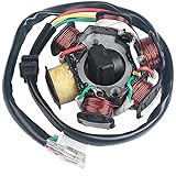 Amazon.com: New AC Magneto Stator 8-coil 8 Pole 5-wire Gy6 ... sunl dirt bike wiring diagram 
