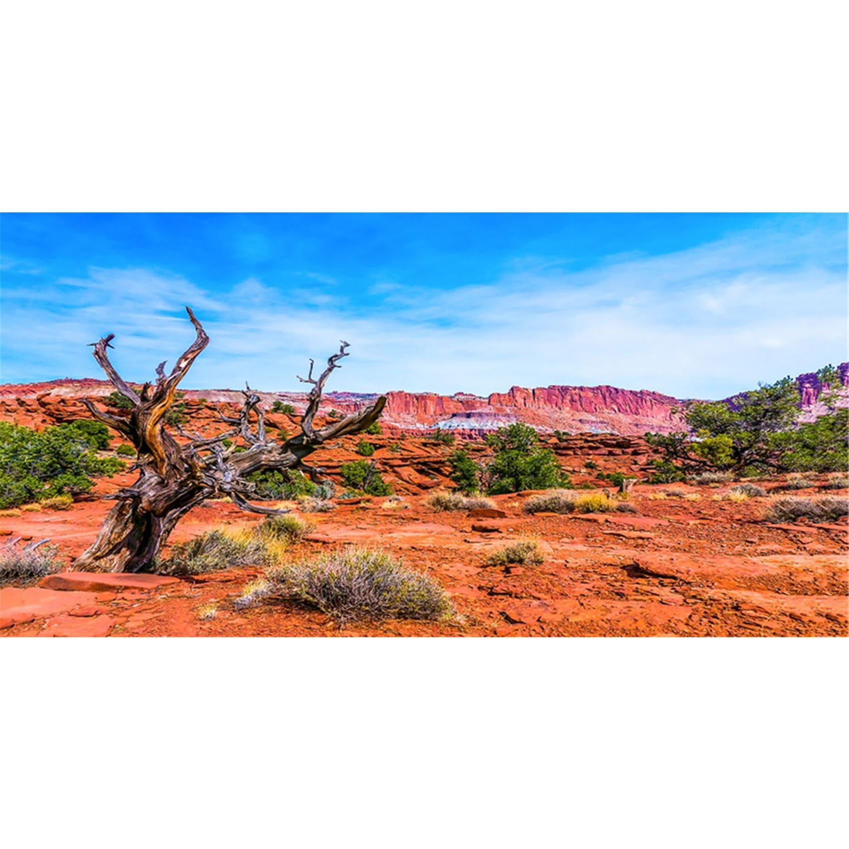 MIRRORANG 120x46cm Terrarium Background Blue Sky Mountain Oasis Desert Sun and Gobi Reptile Habitat Background Vinyl Background