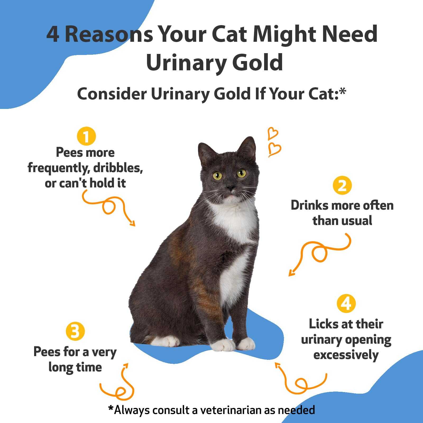 Urinary Ergonomics For Healthy Cats