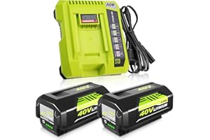 OHYES BAT 2 Pack Replacement for Ryobi 40V Battery and Charger Compatible with Ryobi 40 Volt Battery Lithium OP4040 OP40401 OP4026 OP40261 OP4050 OP40201 Compatible with 40 Volt Cordless Power Tool (Green)