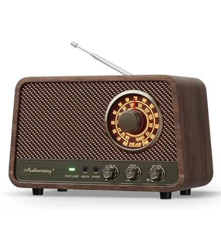 Amazon.com: Bose Wave® Radio III -Graphite Gray : Electronics