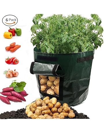 Bolsas para plantas | Amazon.es