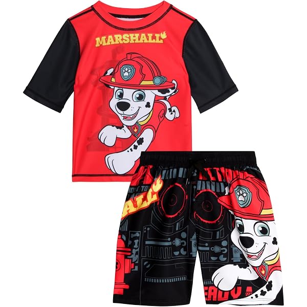 Paw Patrol MAINEMENT MAINTURE BARCHES Toddlers 2 pièces T-Shirt Shorts Swim Set, Gris, 5-6 ans