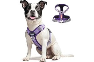 Tacwild No Pull Dog Harness - Adjustable Reflective Dog Vest with Metal Snap, Soft Breathable Mesh No Choke Puppy Harness, Easy to Put on & Take Off (Purple-XL)
