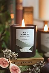 Ocoee House Luxury Scented Soy Wax Candle 450g Wild Forest Loch Lomond view 3