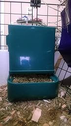 How to Design a Birdwatching Haven Around Your Feeder