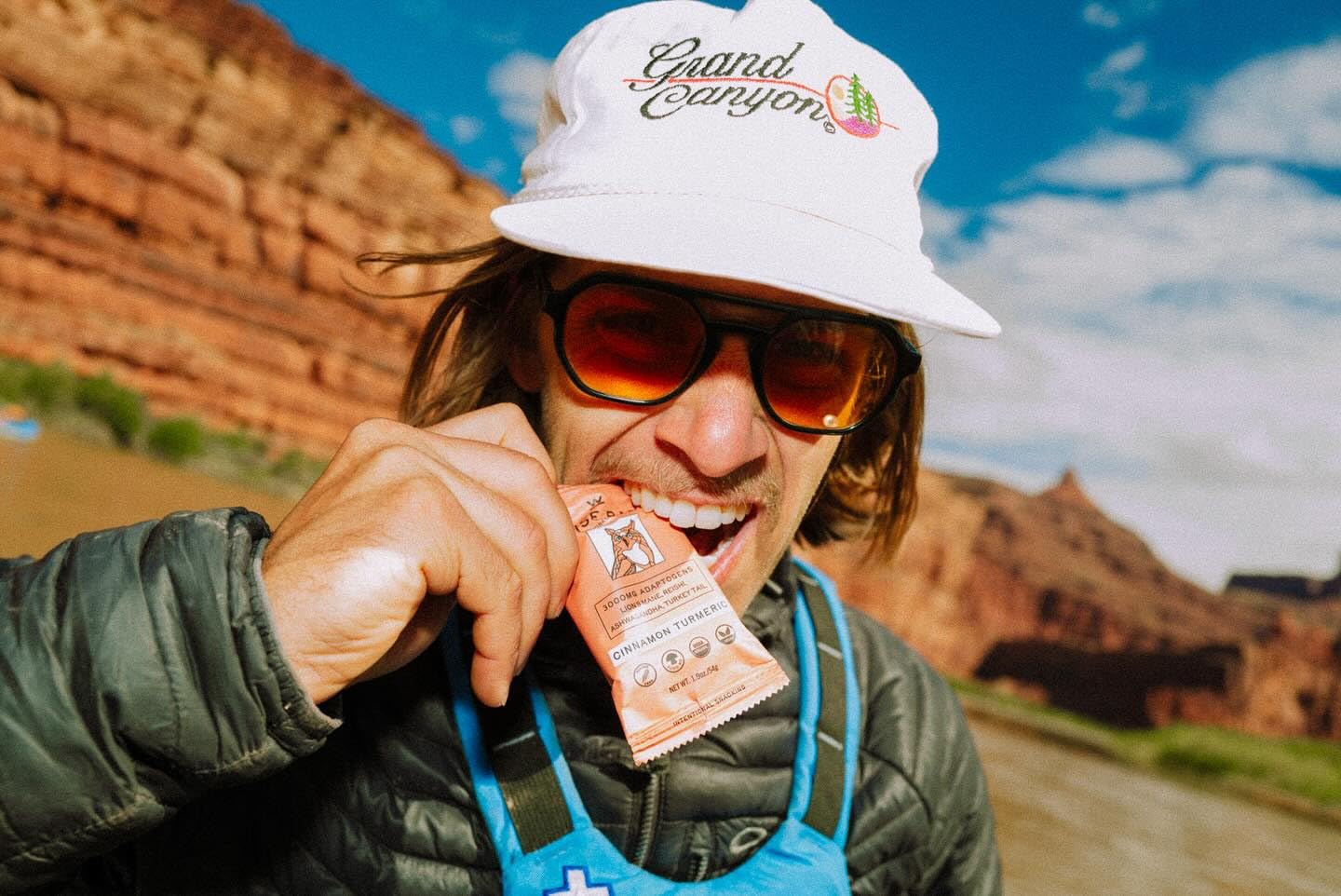 WISE BAR Adaptogen Mushroom Nutrition Bars with Reishi, Lions Mane & Ashwagandha, Organic Vegan & Gluten Free Snacks for Natural Focus, Energy & Immunity Support, Cinnamon Turmeric Flavor, 12 Count