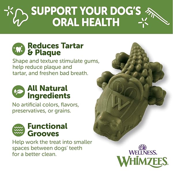 WHIMZEES WELLNESS ALLIGATOR DOG DENTAL TREATS, NATURAL CHEWS, MEDIUM SIZE, (12 COUNT)