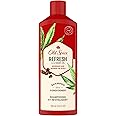 Old Spice, Refresh 2-in-1 Shampoo and Conditioner for Men, 13.5 Fl Oz