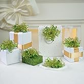 Lakkity 12Pcs Bows for Gift Wrapping, 6 Inch Curly Ribbon Bows, Self Adhesive Burst Gift Bow for Presents,Paper Bag, Baby Shower Favors, Wrapping Accessories, Wedding Decor(Deep green)