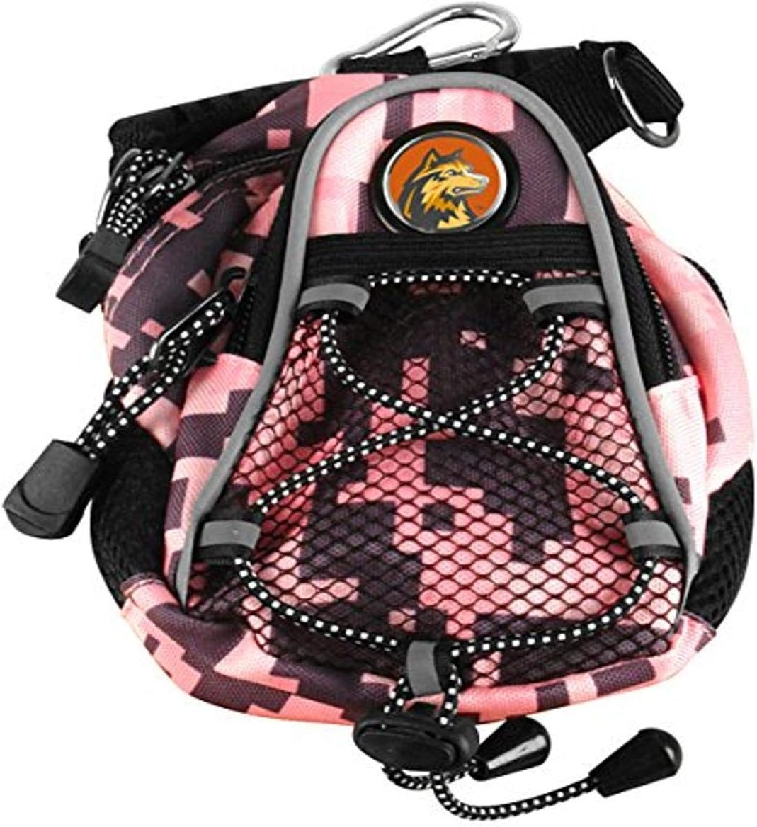 raiders mini backpack