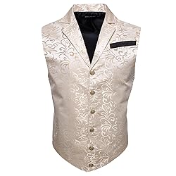 Barry.Wang Beige Victorian Vest Loki Men Costume
