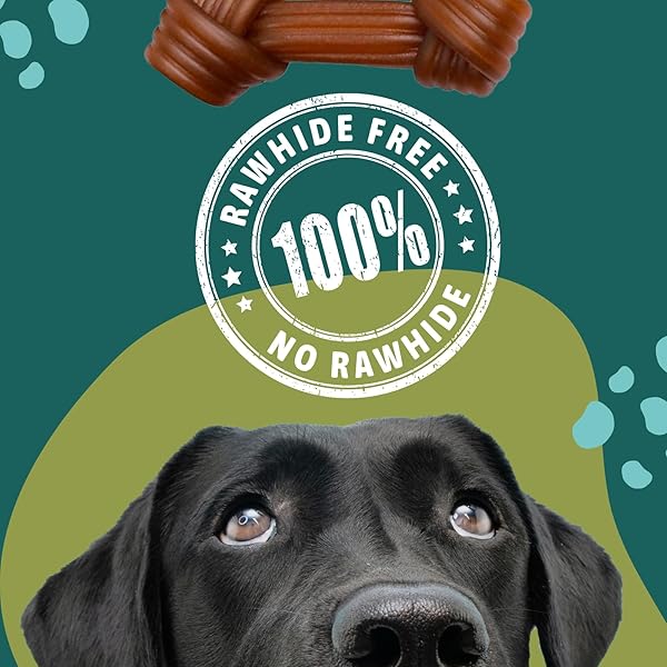 GNAWTURALS RAWHIDE FREE DOG CHEWS | RIBBED BONES | FOR LARGE – EXTRA LARGE DOGS | PUMPKIN, PSYLLIUM HUSK AND CHICORY ROOT FOR EASY DIGESTION AND OVERALL GUT HEALTH (2 BONES, PUMPKIN)