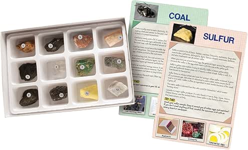 Amazon.com: Educational Insights Everyday Uses Rock & Card Set (5201 ...