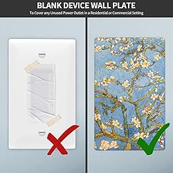 Pznen Light Switch Cover Plate, Almond Tree Van
