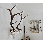Top Rack: European Skull Mount Hangers Trophy Buck: Deer, Raging Bull: Elk, and Mammoth: Steer/Bison/Moose (Raging Bull Black)