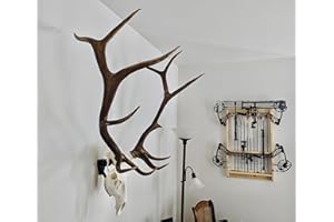 Top Rack: European Skull Hanger (Raging Bull: Elk European Mount Hanger, Black)