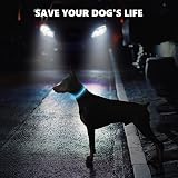 SerDa-Run Light Up Collar Blue Rechargeable USB 3 Modes Adjustable view 2