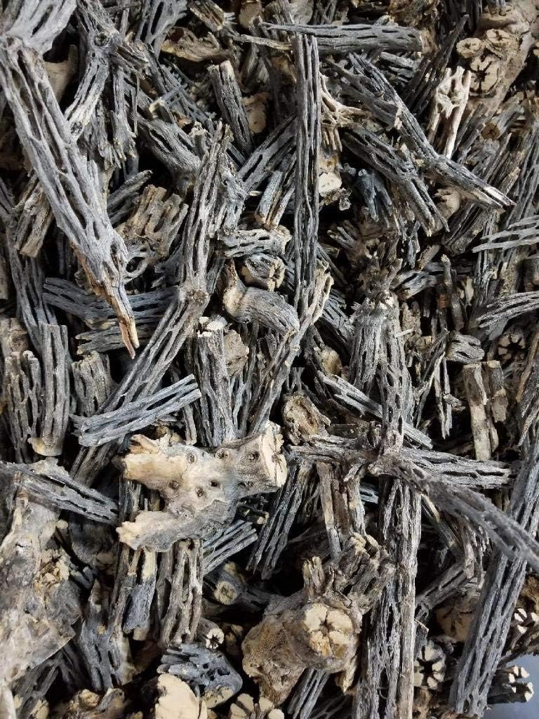 1/4, 1/2, 1, 5 or 10 Pound - Raw Natural Scrap Cholla Wood - Shrimp, Biofilm, Reptiles, Hermit Crabs, Fish, Pet Chews, Hamster, Chinchilla, Aquarium, Driftwood, Crafts, Bulk