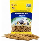 Birds LOVE Economy Spray Millet for Birds, 7 oz, GMO-Free Natural Millet Spray Treat, Stem-Reduced Edible Tops, Grown in USA, for Parakeets, Cockatiels, Lovebirds, Finches, Canaries &amp; Small Parrots