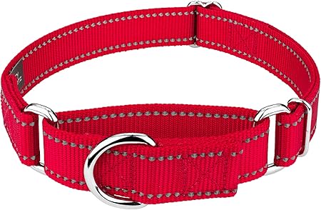 extra large martingale dog collars