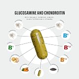 SS Sport Supplies Glucosamine Chondroitin Plus 5 Vitamins 120 Capsules 1000mg view 4