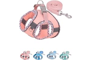 Petank Dog Harness for Small Medium Dogs No Pull, Puppy Harness and Leash Set, Step in Dog Harness for Walking, Running, Training, Small Dog Vest (Pink, XXS)