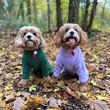 Pet Wiz Warm Four-Legged Dog Fleece Green XXL Weather-Resistant view 3