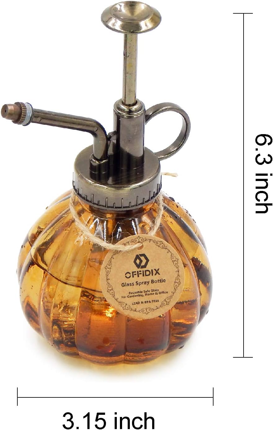 OFFIDIX Glass Watering Spray Bottle - Image 3
