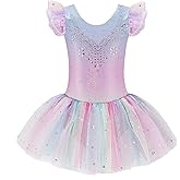 Zaclotre Kid Girls Ruffle Sleeve Ballet Skirted Leotard Shiny Dance Tutu Dresses