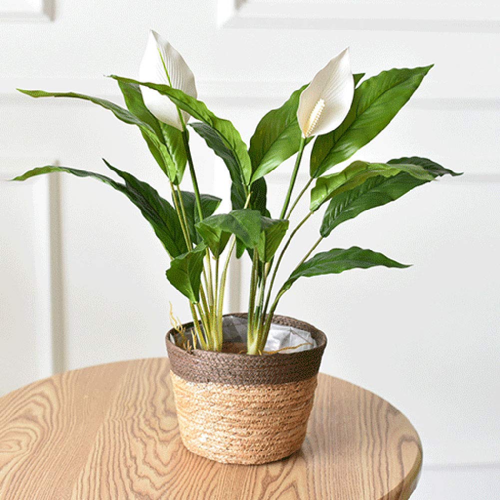 AZXAZ Natural Planter Basket Hand-Woven Flower Pot With Liner S/L Plant Fiber Rattan Basket Indoor Outdoor For Storage Laundry Picnic Plant Pot-Coffee Color S