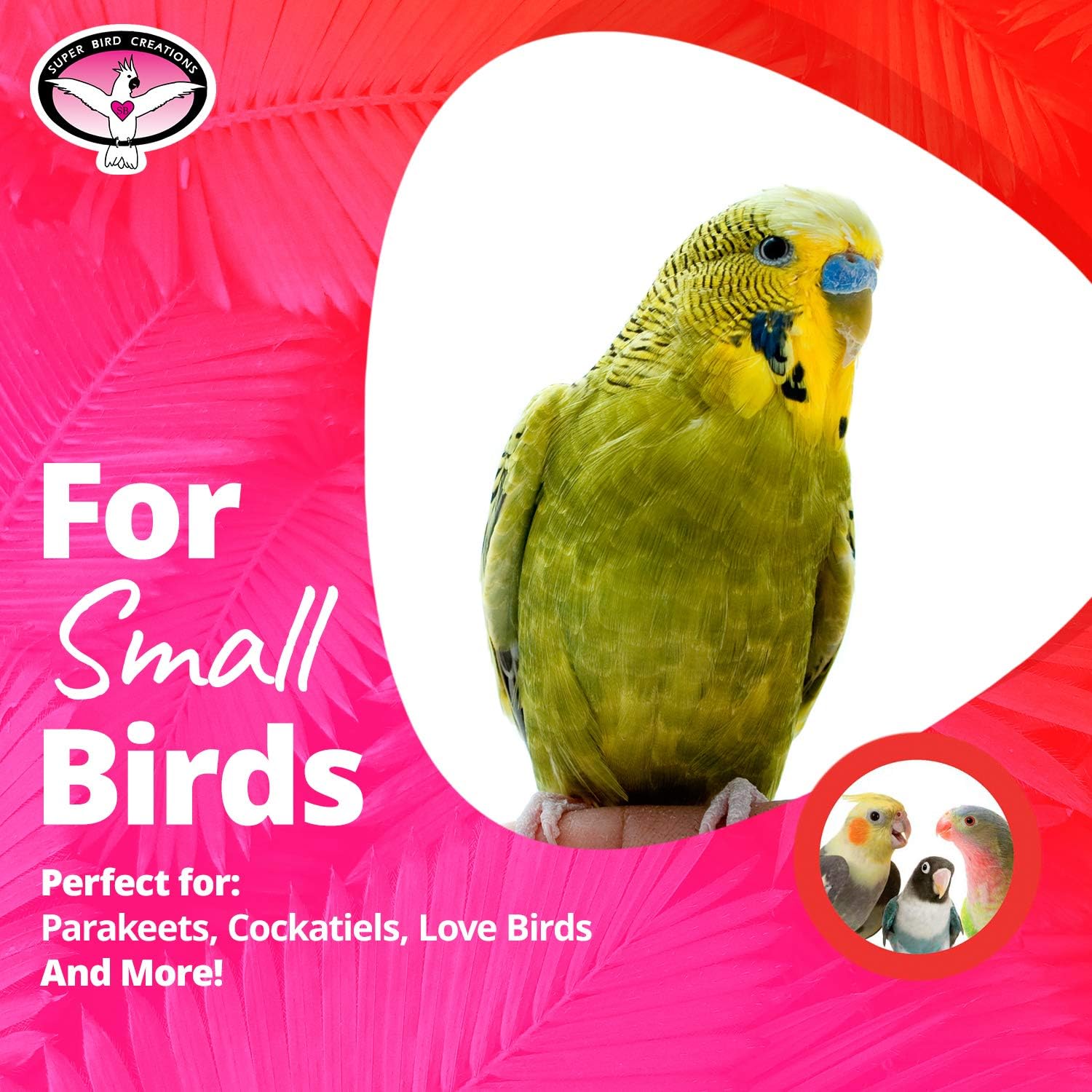 Super Bird Creations Mini Flying Trapeze Toy for Birds : Pet Supplies