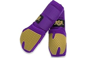 RS PREMIUM HORSES RS Premium Design Gold Line Horse Boots | Comfortable, Protective & Shock Absorber | Sport Boots for Horses Best for Jump Training | Ok Fabric 1682D Provides Ultimate Flexibility (Purple, Medium)