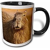 3dRose (mug_85720_4) Brazil, Capybara wildlife in the jungle - SA04 JMC0034 - Joe and Mary Ann McDonald - Two Tone Black Mug, 11oz