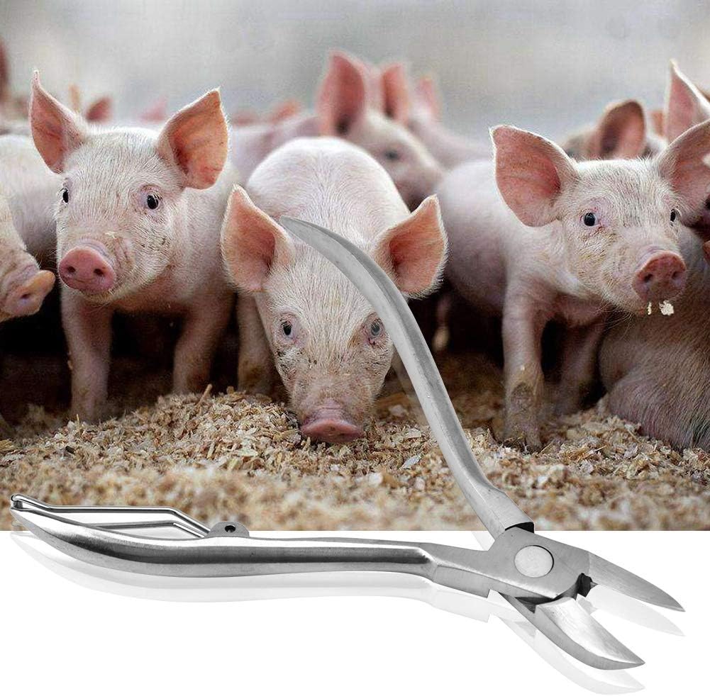 Stainless Steel Pig Tooth Nipper Piglets Teeth Clipper Teeth Cutter