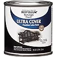 Rust-Oleum 1979730 Painter's Touch Latex Paint, Half Pint, Gloss Black 8 Fl Oz (Pack of 1)