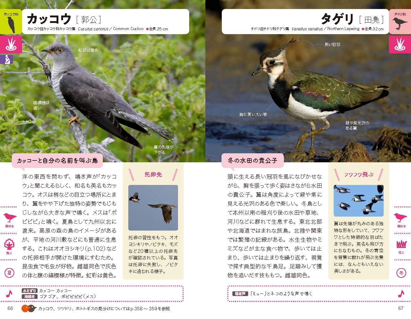 街 野山 水辺で見かける 野鳥図鑑 柴田 佳秀 樋口 広芳 戸塚 学 本 通販 Amazon