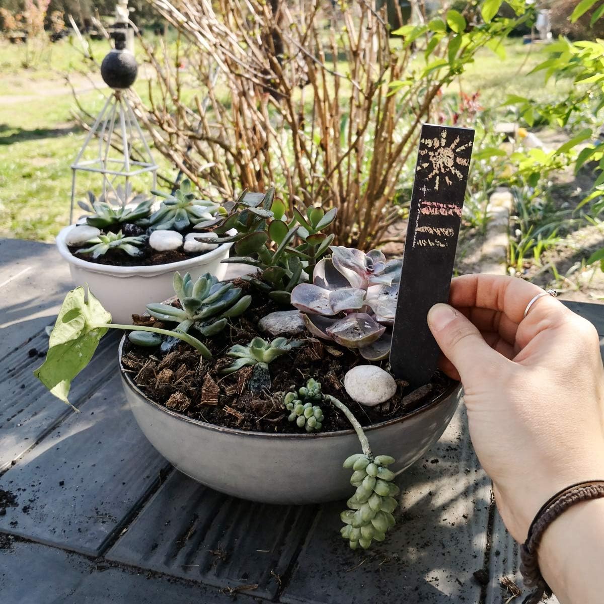 Navaris Set de 10 marcadores para Plantas de Pizarra M - Etiquetas ...
