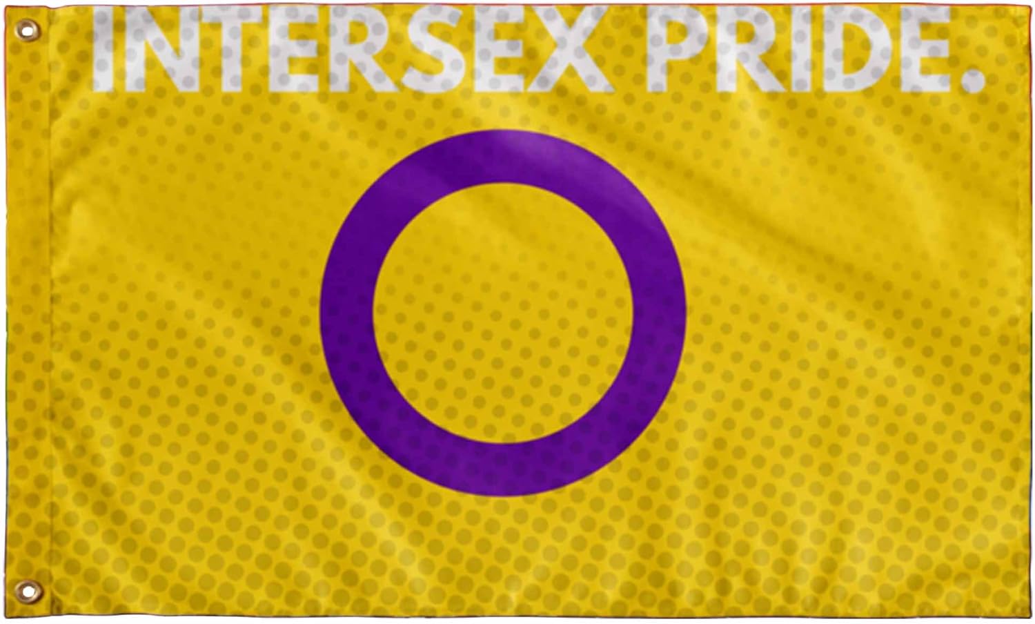 Amazon Com Kyrola Ltd Gay Pride Flag Intersex Banner Cool