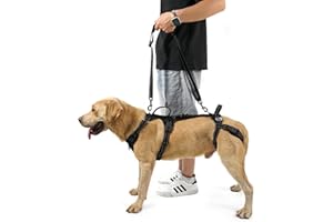 COODEO Mobility Dog Lift Harness, Support Sling & Walking Sling for Dogs, Pet Rear Leg Rehabilitation Support Vest, Dog Carri