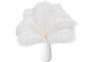 THARAHT White Ostrich Feathers 24pcs Natural Bulk 10-12Inch 25cm-30cm for Crafts Wedding Party Centerpieces Easter Gatsby and Christmas Tree Decoration Feathers