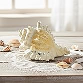 Mr.Winder Conch Shell Music Box Plays You are My Sunshine, Ocean Theme Gift for Wife Husband Daughter Grandma Sister Gifts for Birthday Anniversary Christmas Musical Box