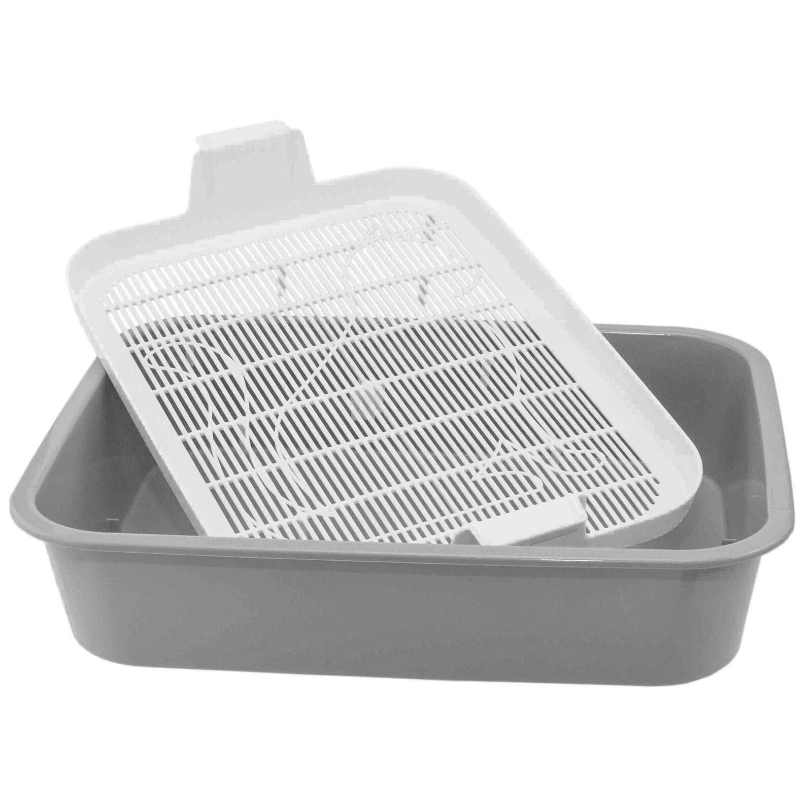 4BIG.fun - First Cat Litter Tray - Perfect for Kittens, Cats, Babies, Young Cats - Toilet Tray with Cleaning Strainer - House Clean Even Without Cat Litter - Available in Grey or Green