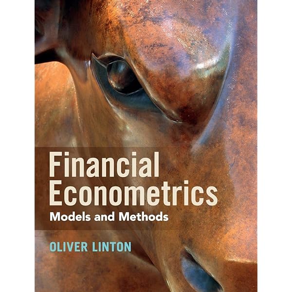 Financial Econometrics: 9781316630334: Economics Books
